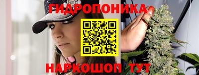 экстази Новозыбков