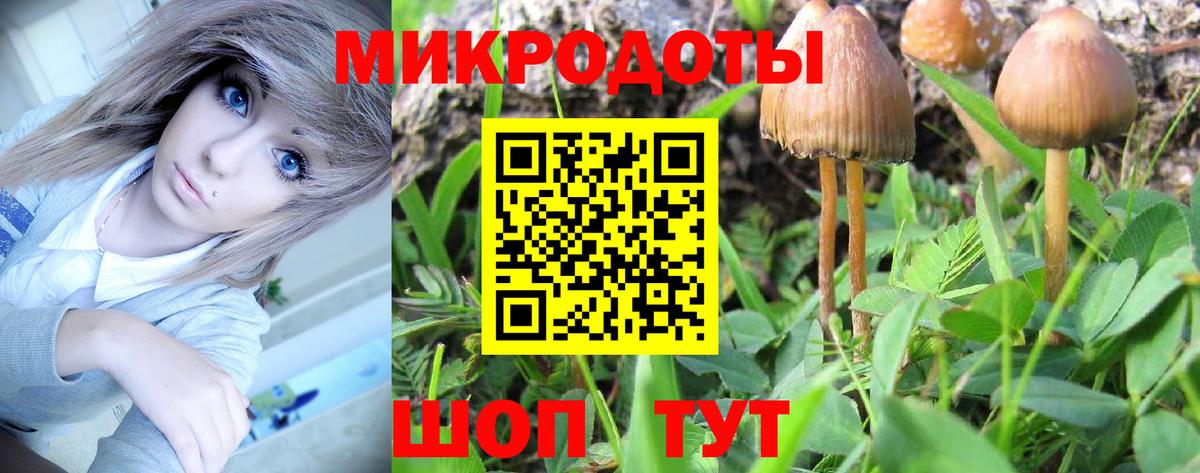 Пыть-Ях  Псилоцибиновые грибы прущие грибы  Вход с VPN 
